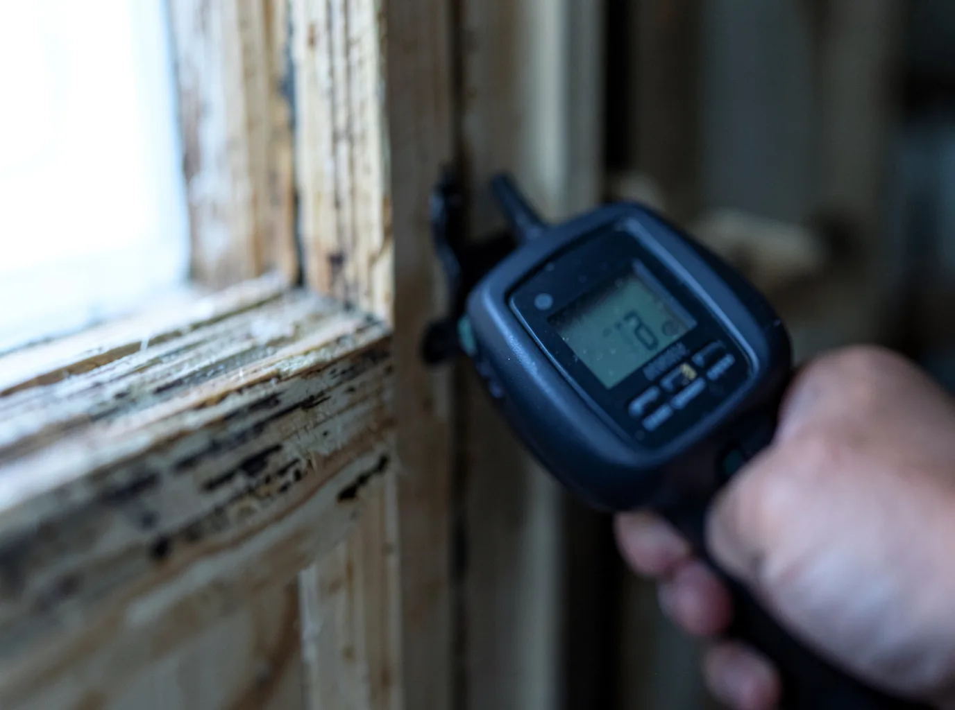 Moisture Inspection And Documentation in Belcourt, ND
